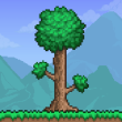Terraria Terraria